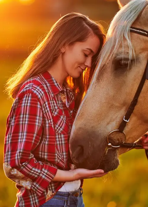 Horse-Connection.webp